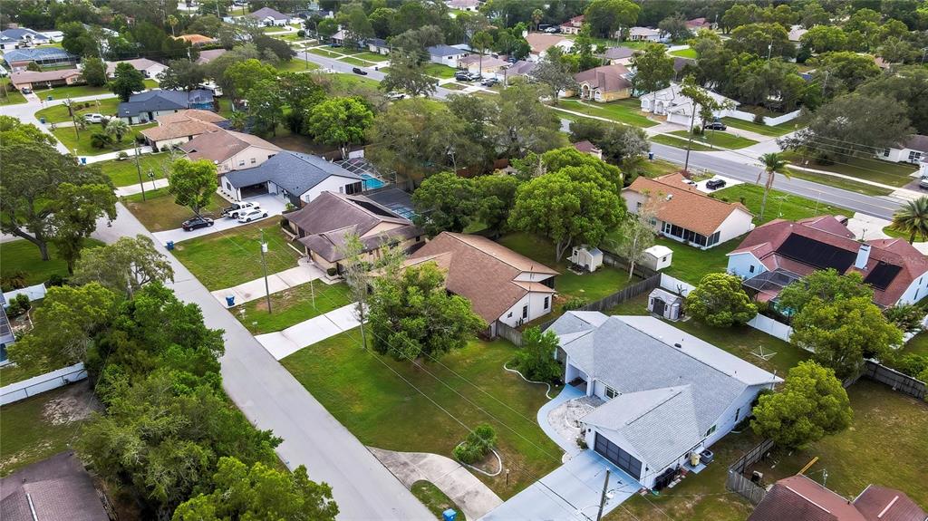 3296 Dolin Avenue Spring Hill, FL 34606 - Photo 46 of 54