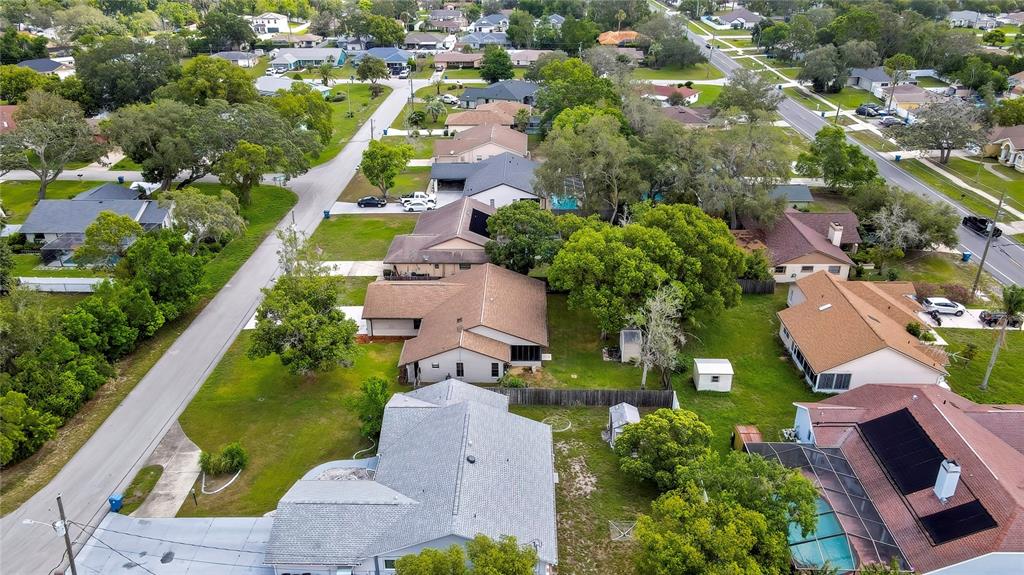 3296 Dolin Avenue Spring Hill, FL 34606 - Photo 47 of 54