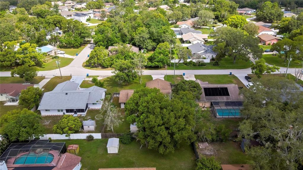 3296 Dolin Avenue Spring Hill, FL 34606 - Photo 49 of 54