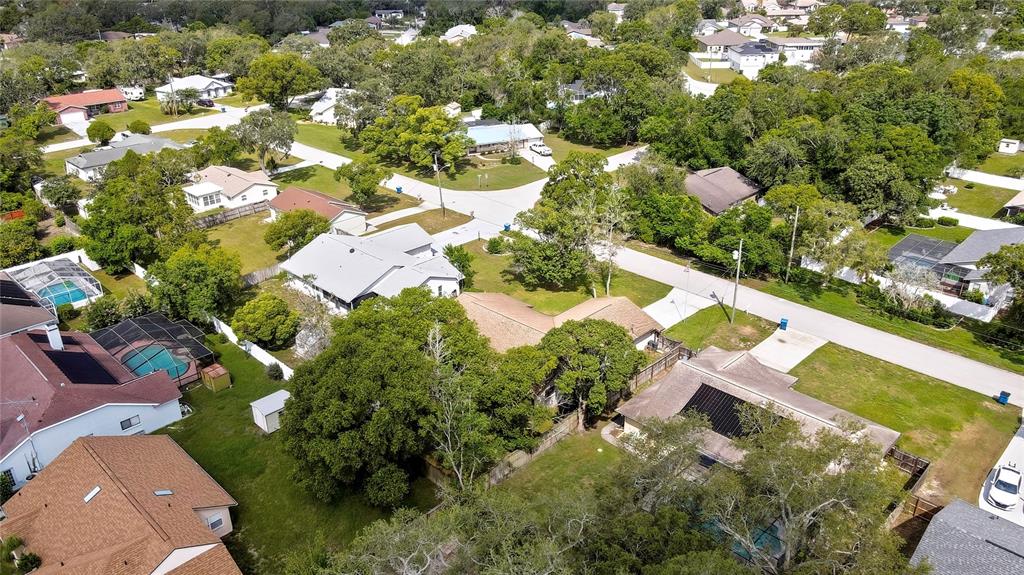 3296 Dolin Avenue Spring Hill, FL 34606 - Photo 50 of 54