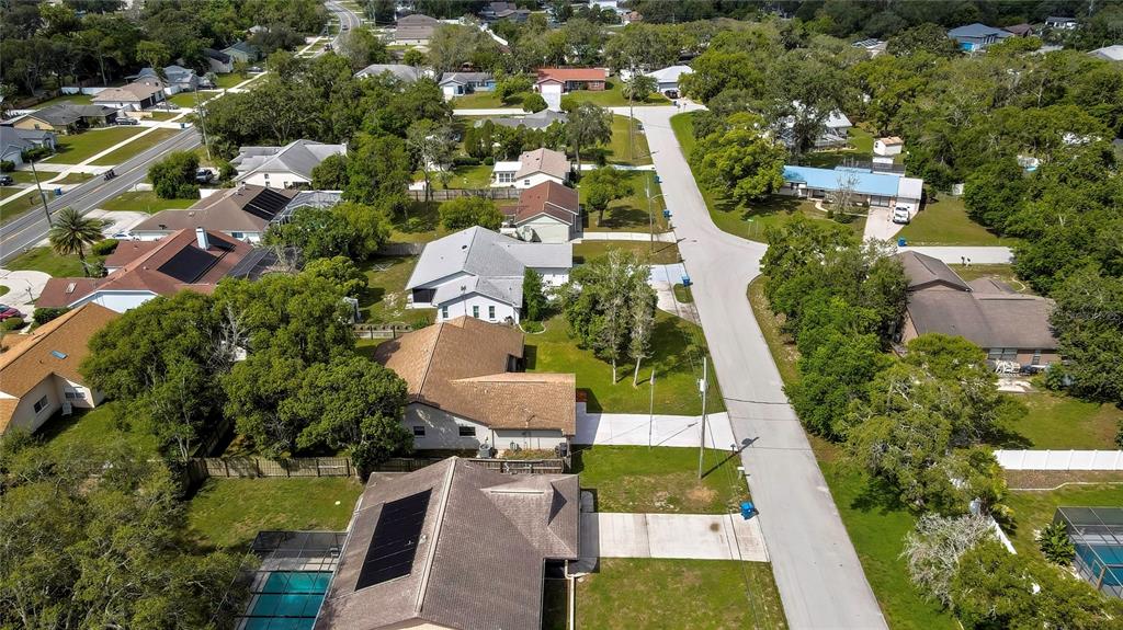 3296 Dolin Avenue Spring Hill, FL 34606 - Photo 51 of 54