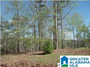 218 County Road 265 Wedowee, AL 36278 - Photo 10 of 10