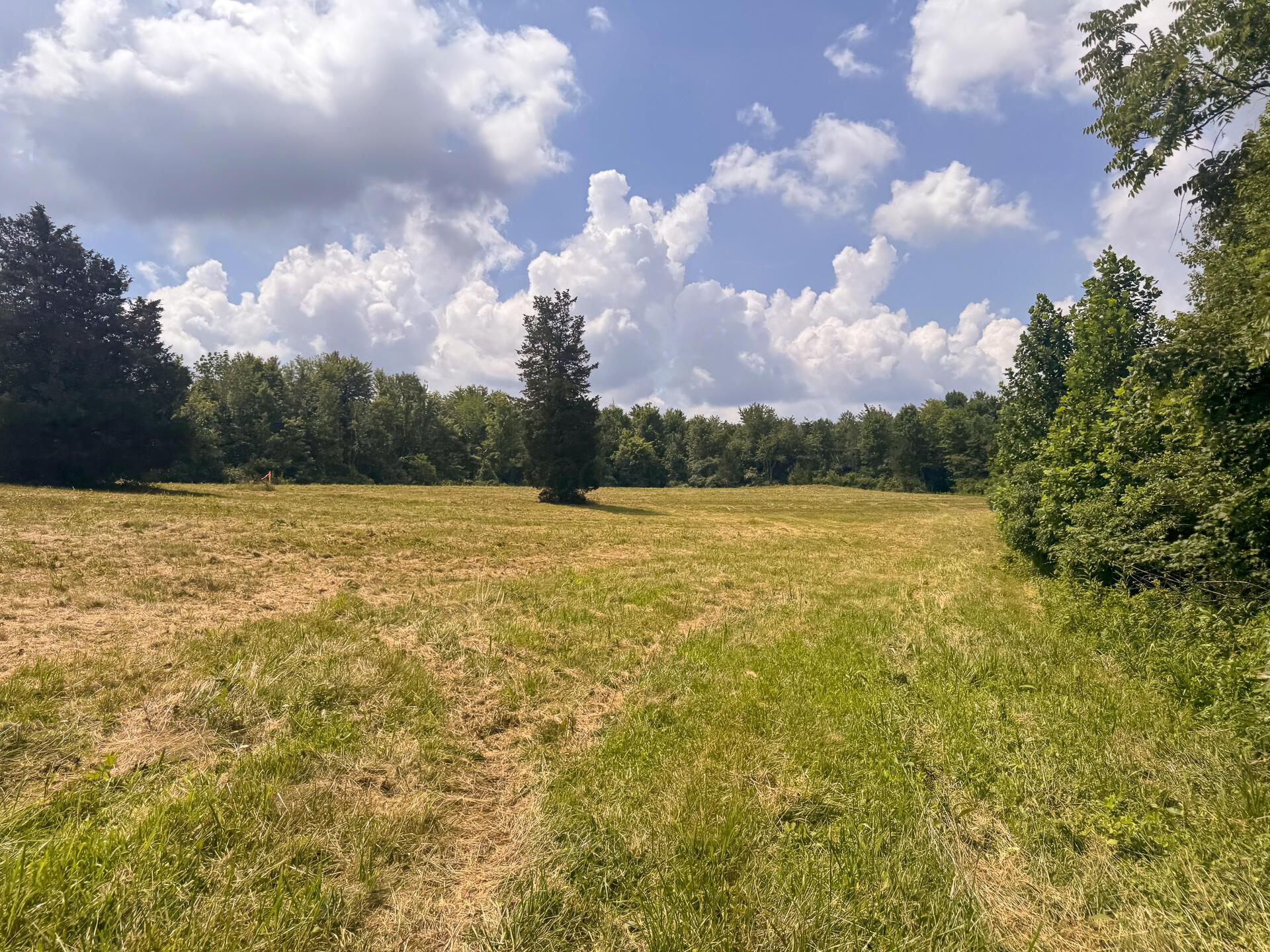 272 Golf Course Road, Unit TRACT 8 SKYLINEACRES) Waverly, OH 45690 - Photo 16 of 40 CT-16
