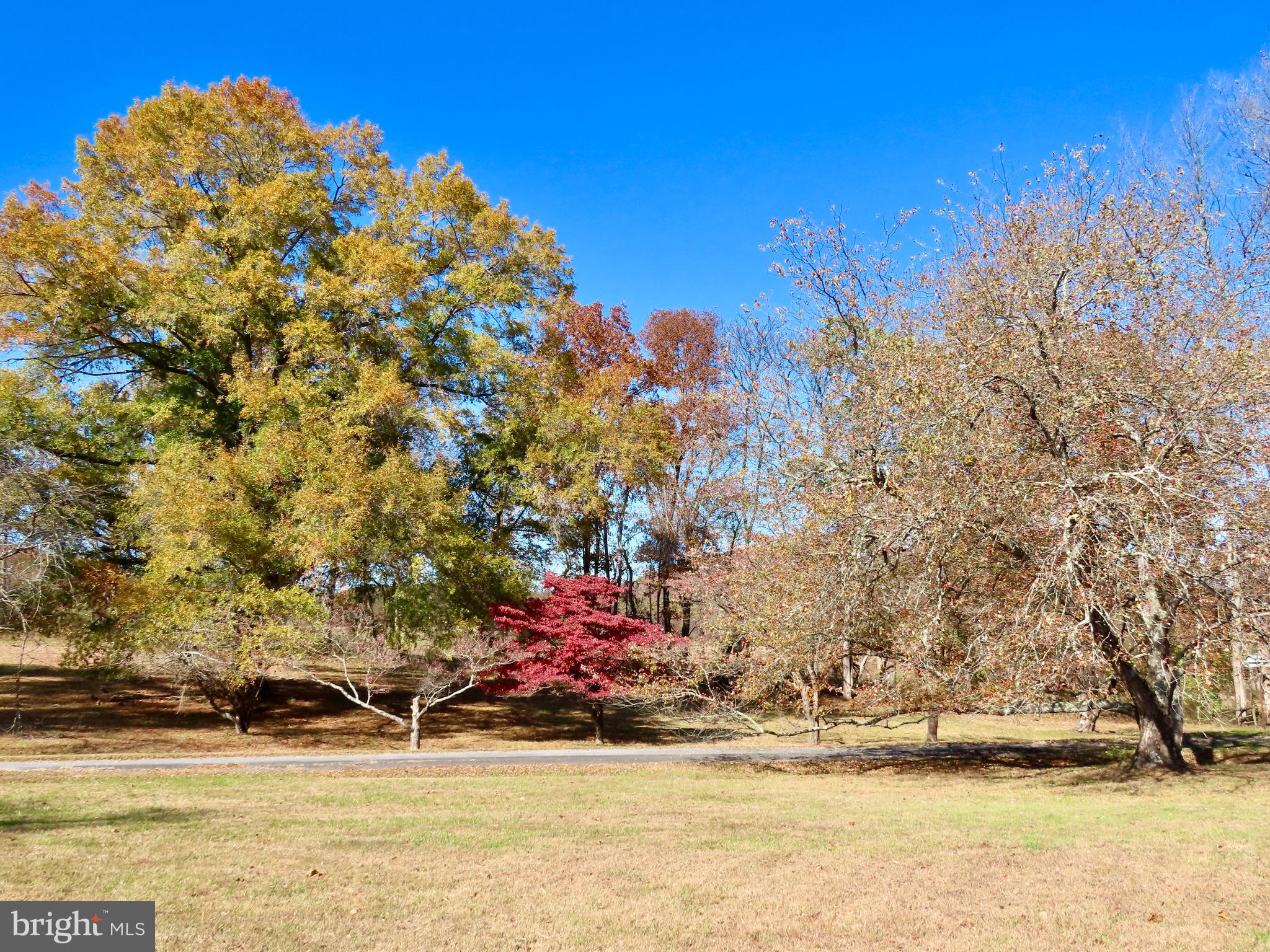 419 Rudasill Mill Road Woodville, VA 22749 - Photo 39 of 42 Along the driveway