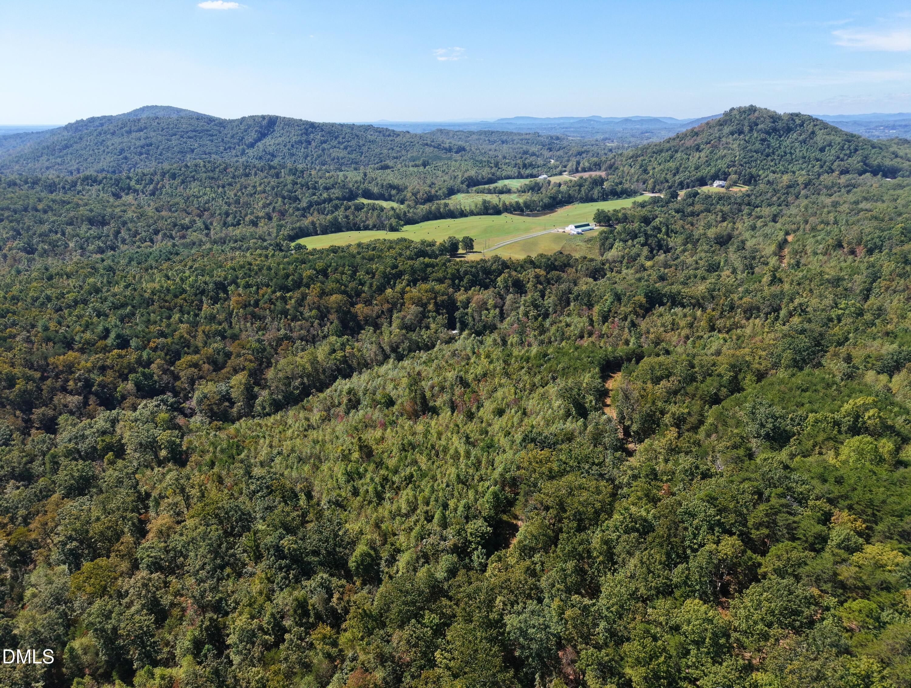 00 Ridley Ranch Road Hiddenite, NC 28636 - Photo 16 of 21 a view of a lush green forest with lush green forest