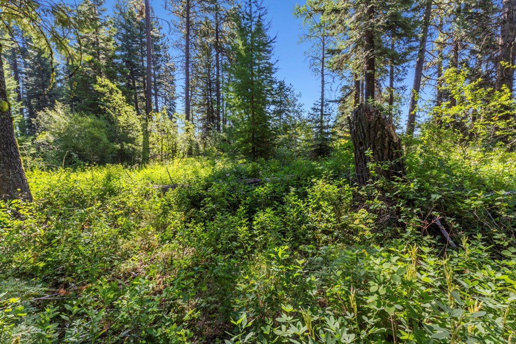 2 Arling Trail, Unit 5A45 Cascade, ID 83611 - Photo 5 of 15 Gentle Slope Lot