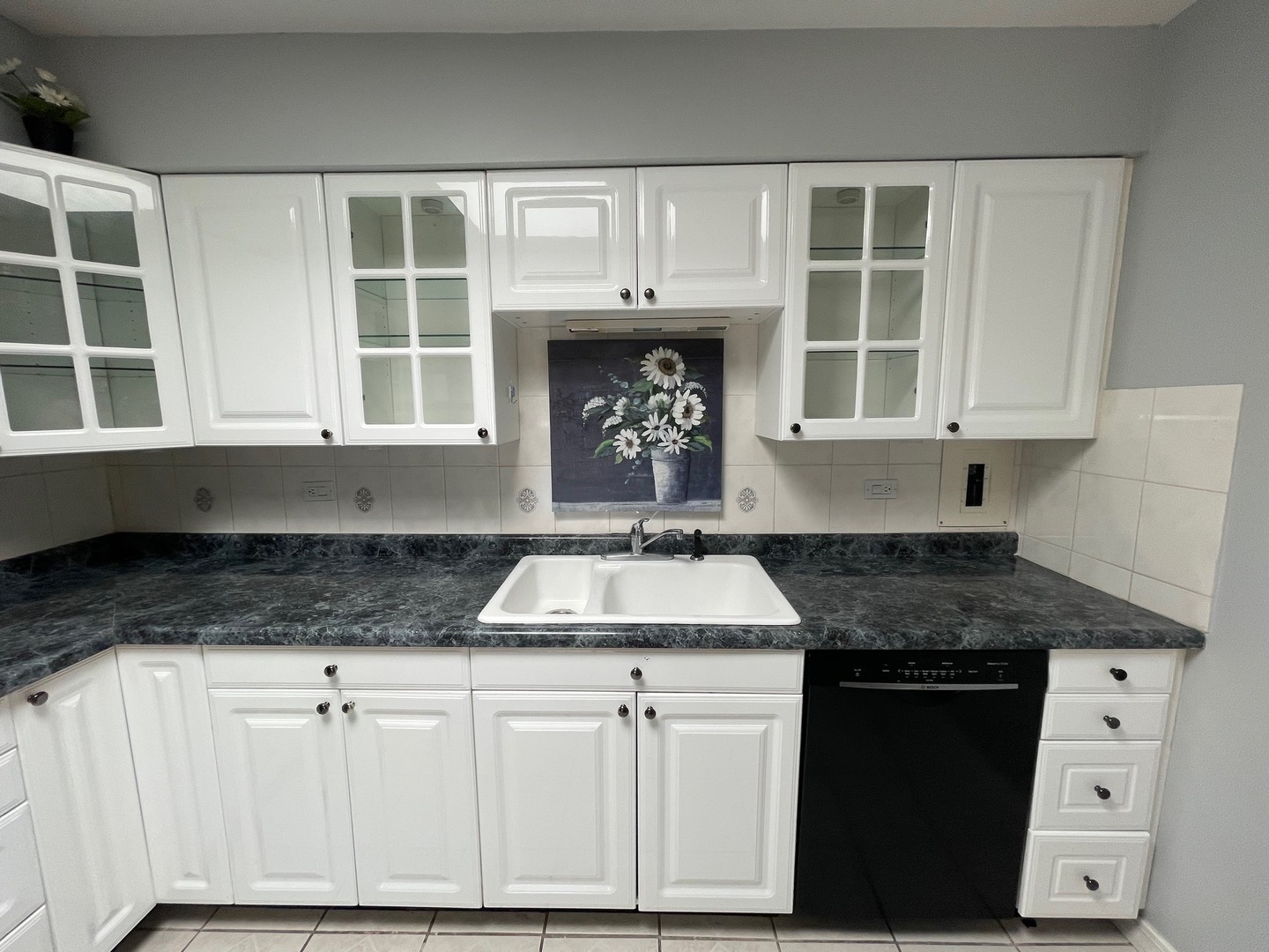 8203 Niles Center Road, Unit 3C Skokie, IL 60077 - Photo 6 of 20