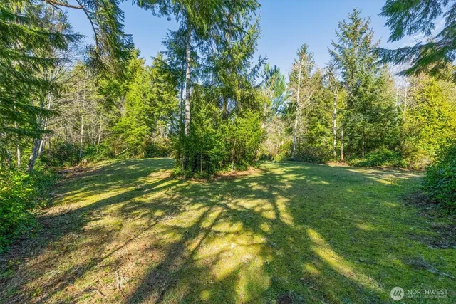 a view of yard with green space
