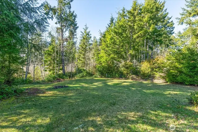 a view of a grassy field with trees