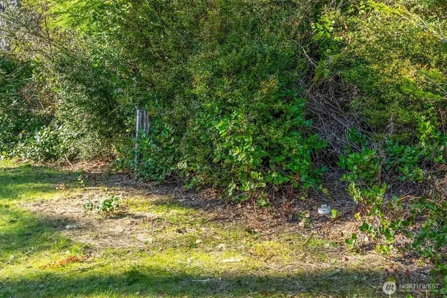 a view of a lake view with a tree