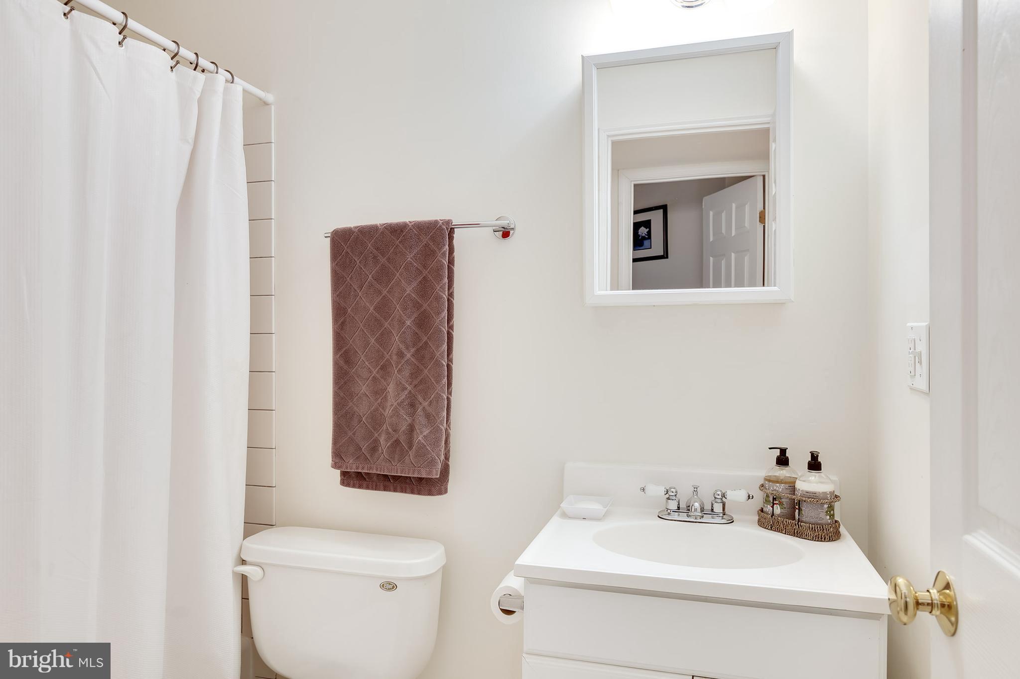 12343 Brown Fox Way Reston, VA 20191 - Photo 17 of 30 Bath