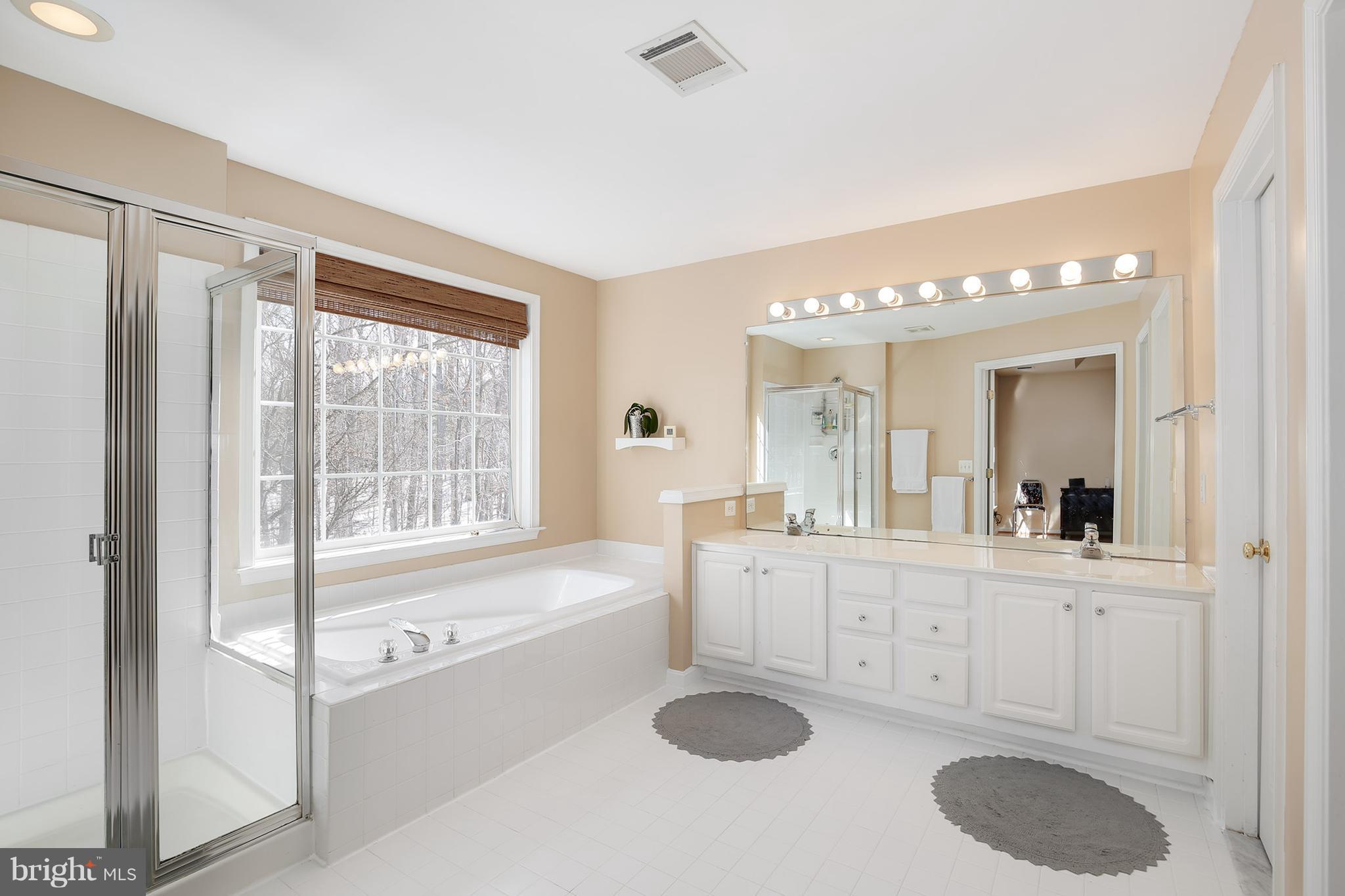 12343 Brown Fox Way Reston, VA 20191 - Photo 25 of 30 Bath (Master)