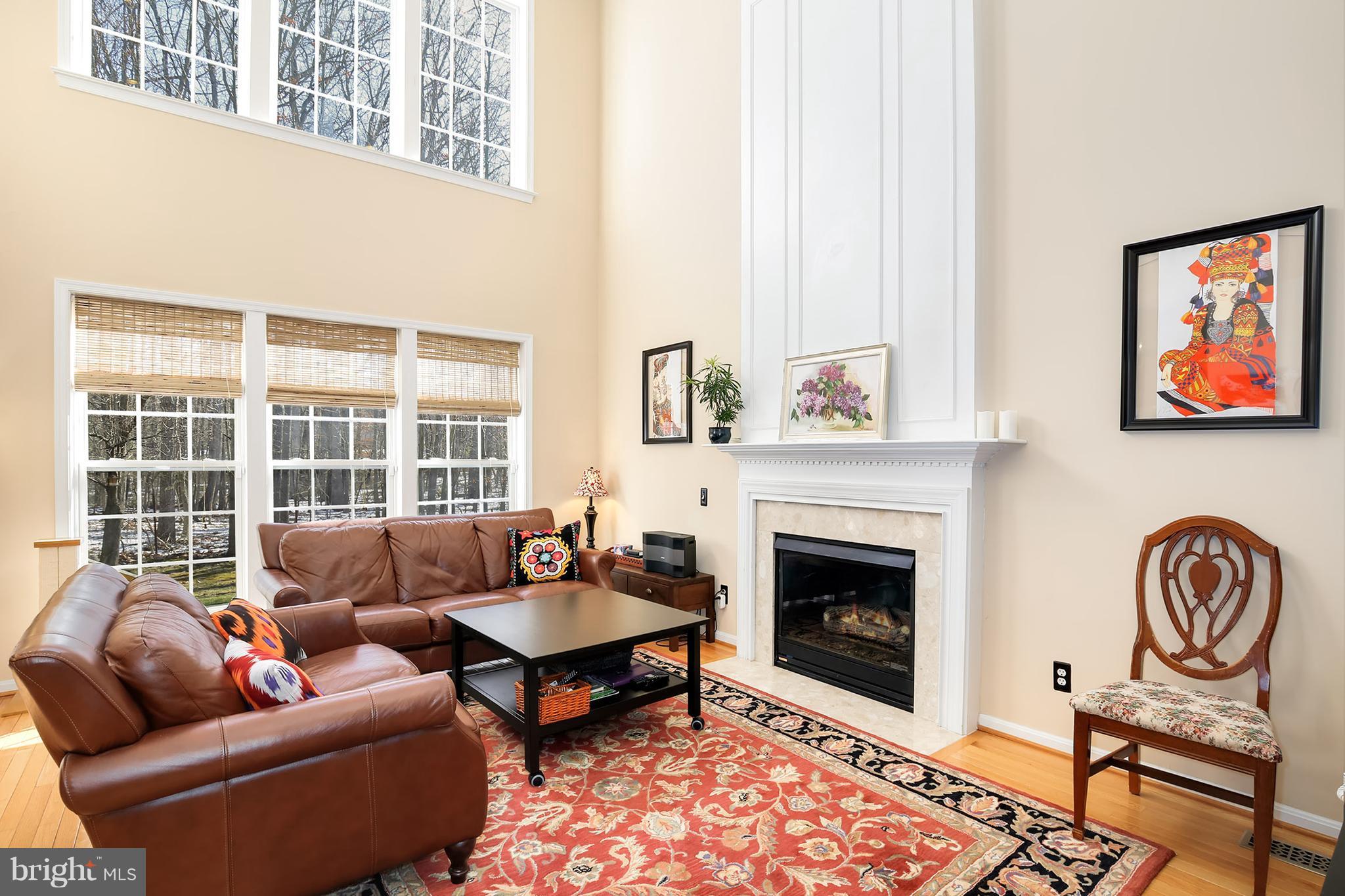 12343 Brown Fox Way Reston, VA 20191 - Photo 8 of 30 Family Room