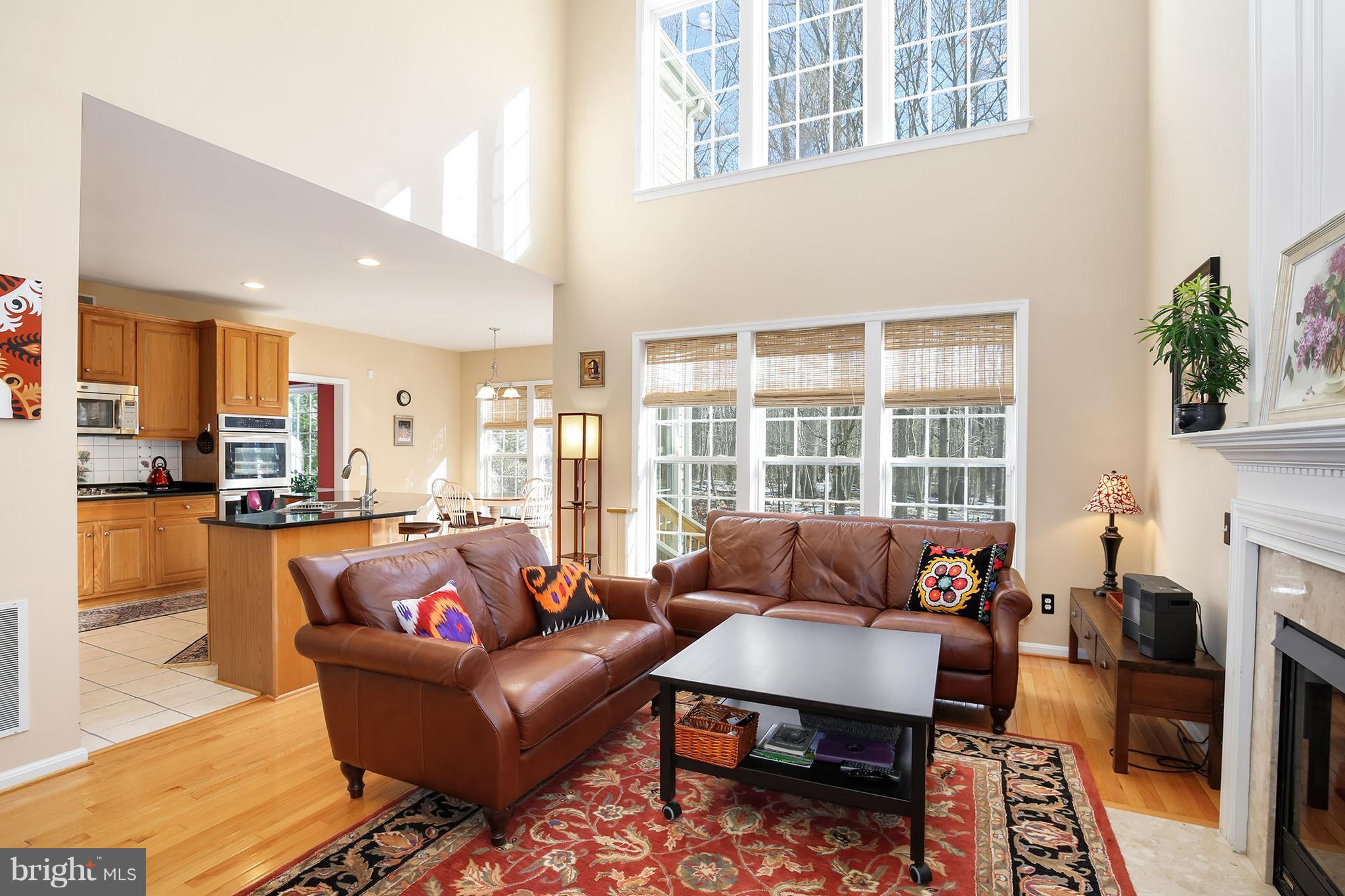 12343 Brown Fox Way Reston, VA 20191 - Photo 9 of 30 Family Room
