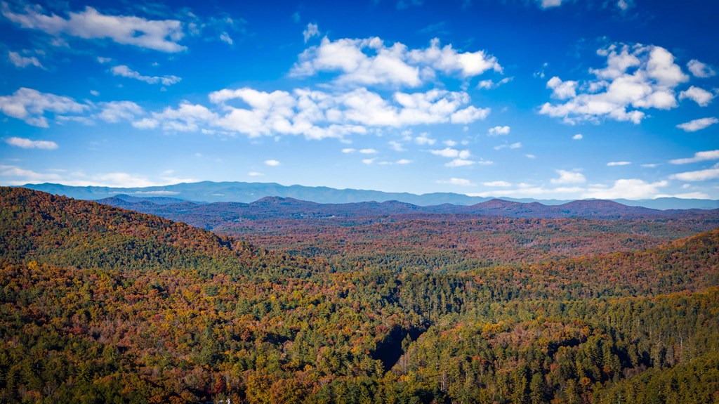 904 Racoon Road Blue Ridge, GA 30513 - Photo 97 of 101 Gallery Image 97