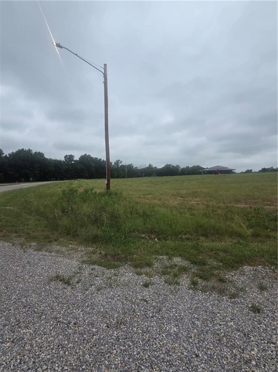 Herman Lane Frontenac, KS 66763 - Photo 2 of 4