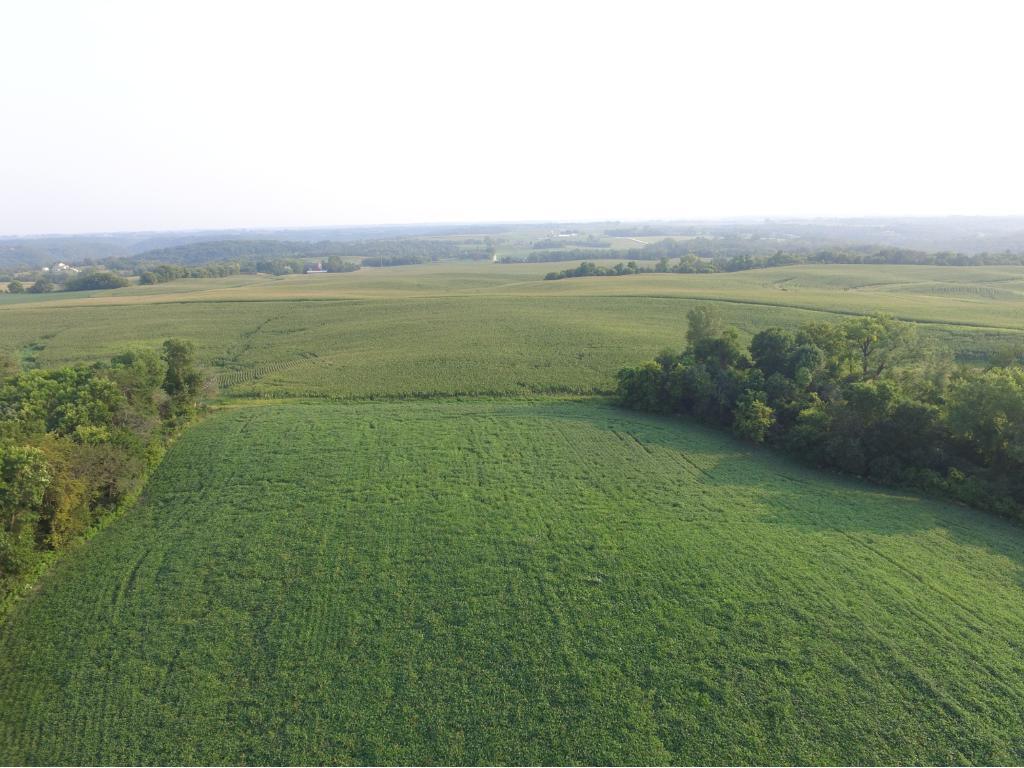 Tbd Mt Hill Road Welch, MN 55089 - Photo 1 of 1 Gallery Image 1