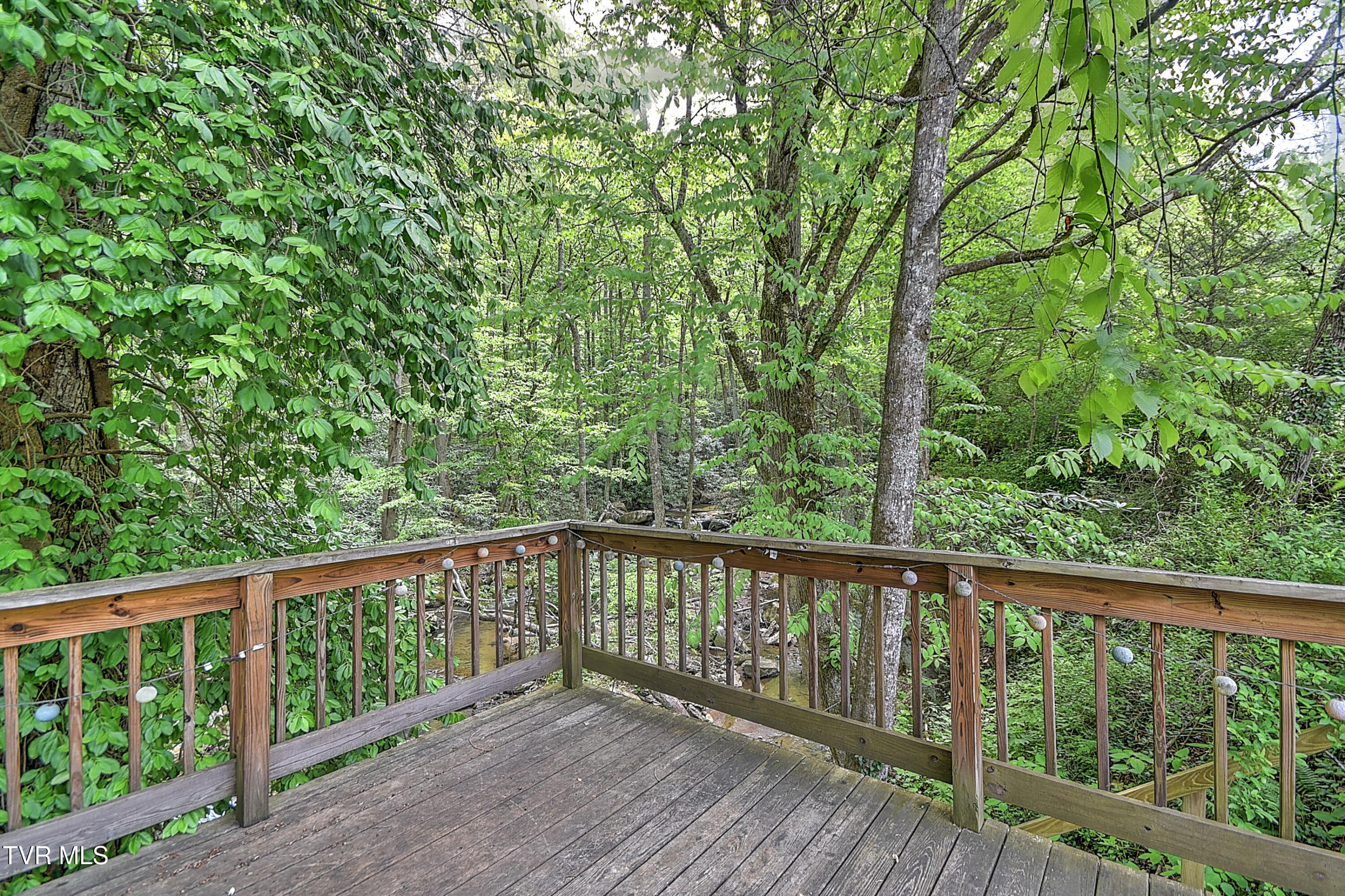 275 Tiger Creek Road Roan Mountain, TN 37687 - Photo 44 of 104 275 Tiger Creek EH-39