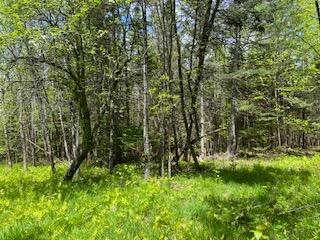 254 Eaton Road Exeter, ME 04435 - Photo 40 of 49 IMG_7640