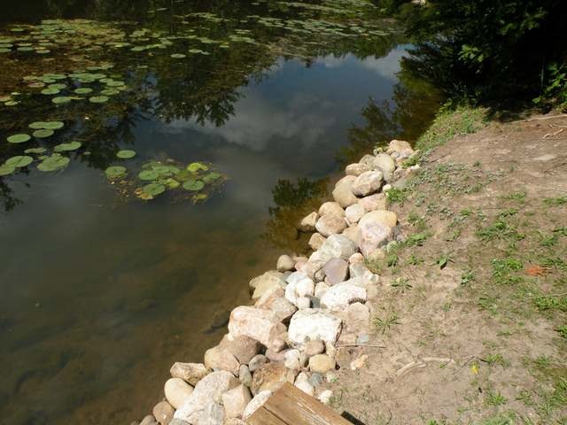 1689 Whitney Beach Road Beaverton, MI 48612 - Photo 7 of 15 1846100-6.JPG