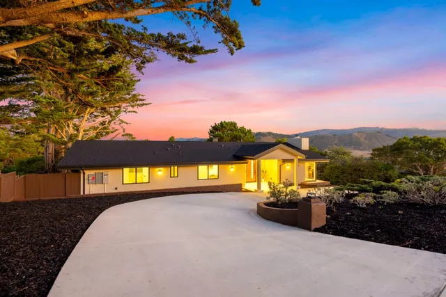 a view of an outdoor space with a large tree