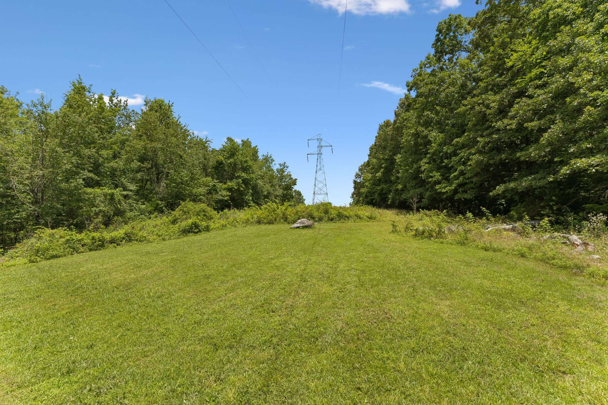 7368 Walker Road Fairview, TN 37062 - Photo 50 of 74