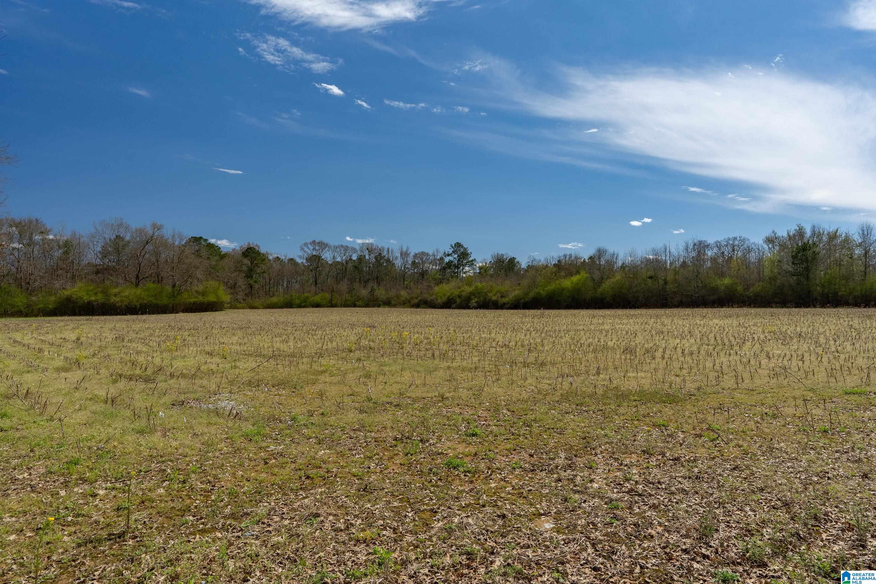 Bates Road, Unit 100 Vincent, AL 35178 - Photo 21 of 29