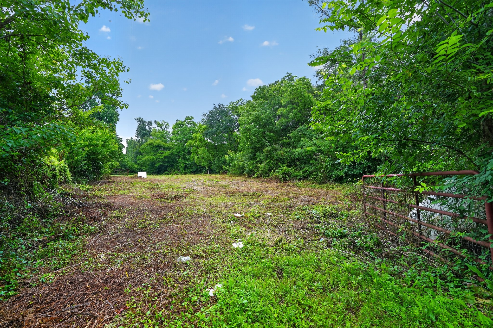 15197 Willis Waukegan Road Conroe, TX 77303 - Photo 7 of 22