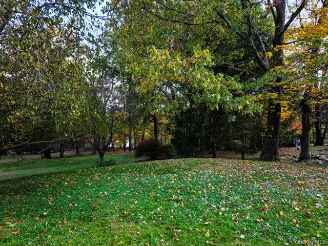 a view of green field