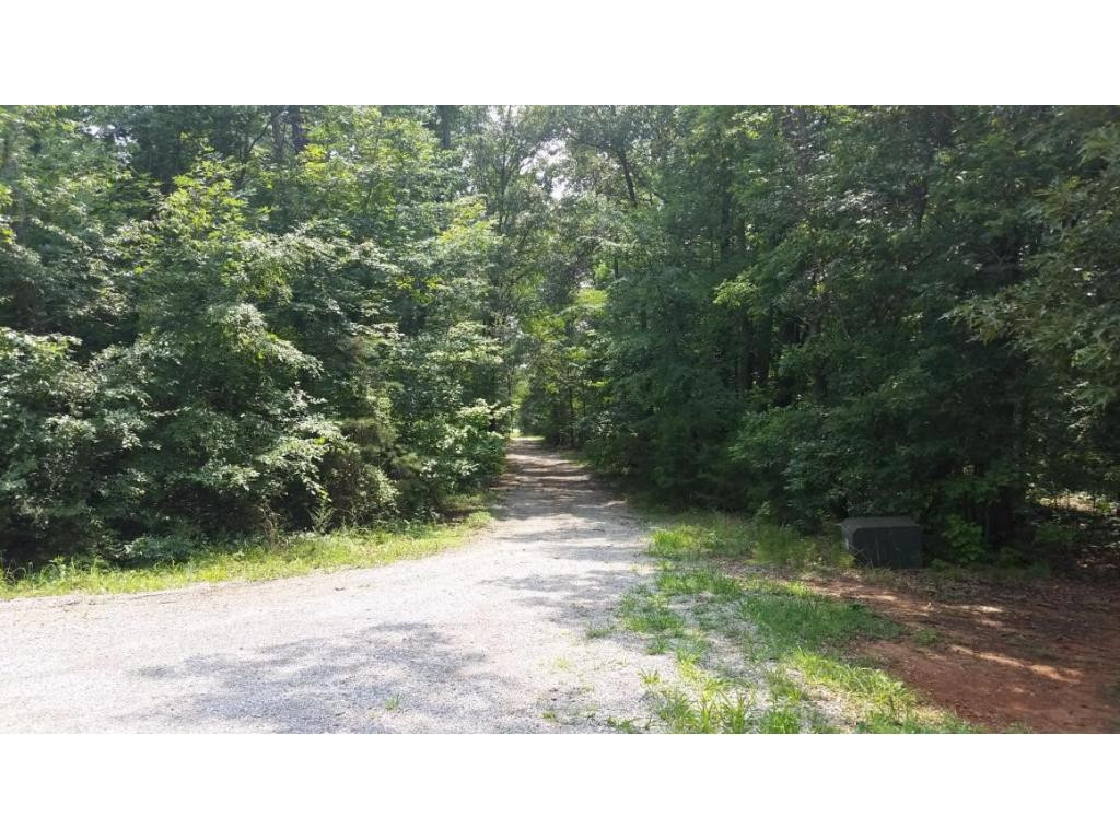 645 Gibson Road Greeneville, TN 37743 - Photo 3 of 20 Driveway