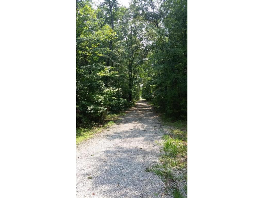 645 Gibson Road Greeneville, TN 37743 - Photo 4 of 20 Driveway