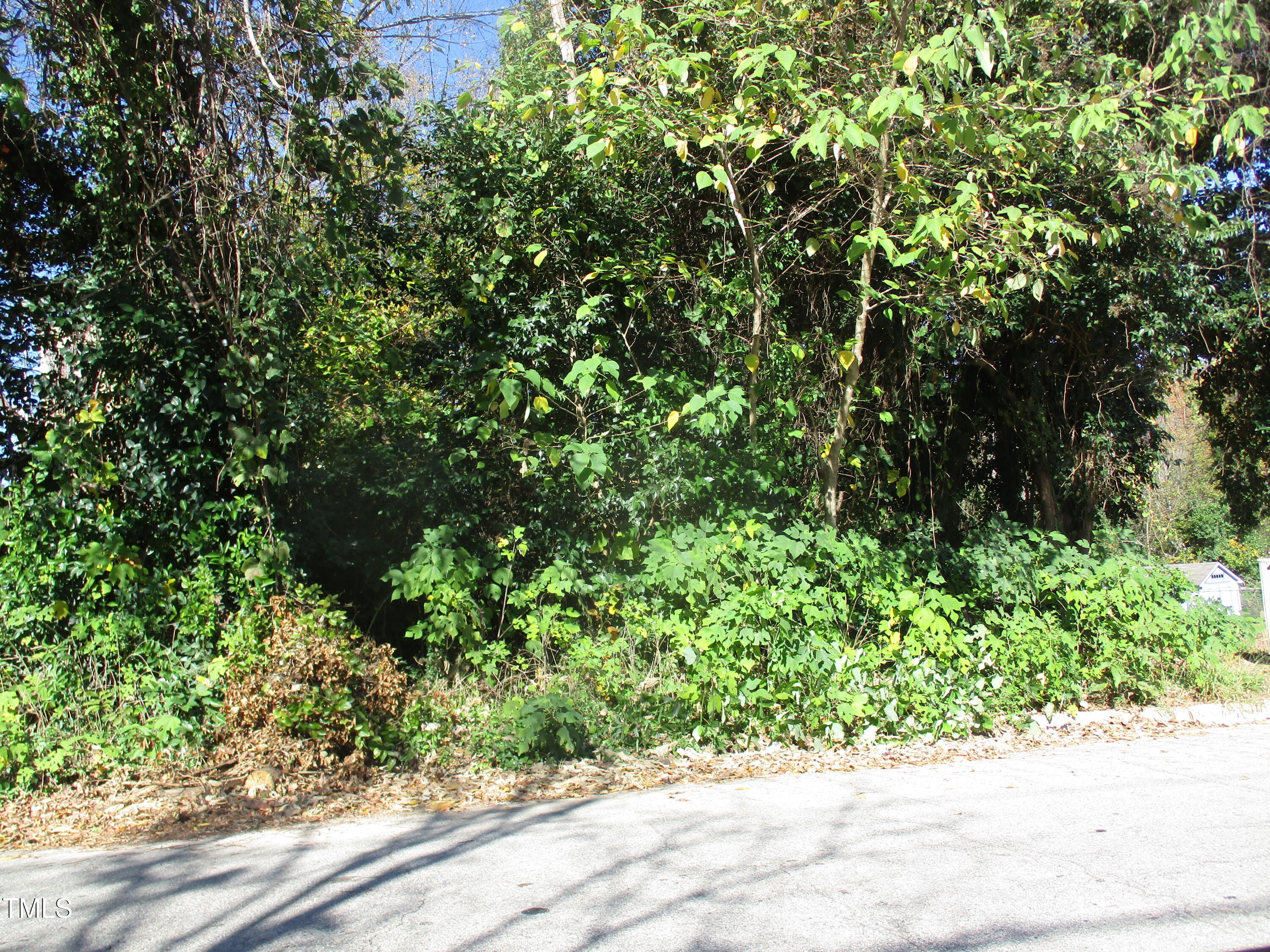 525 Bragg Street Raleigh, NC 27601 - Photo 2 of 2 IMG_2878