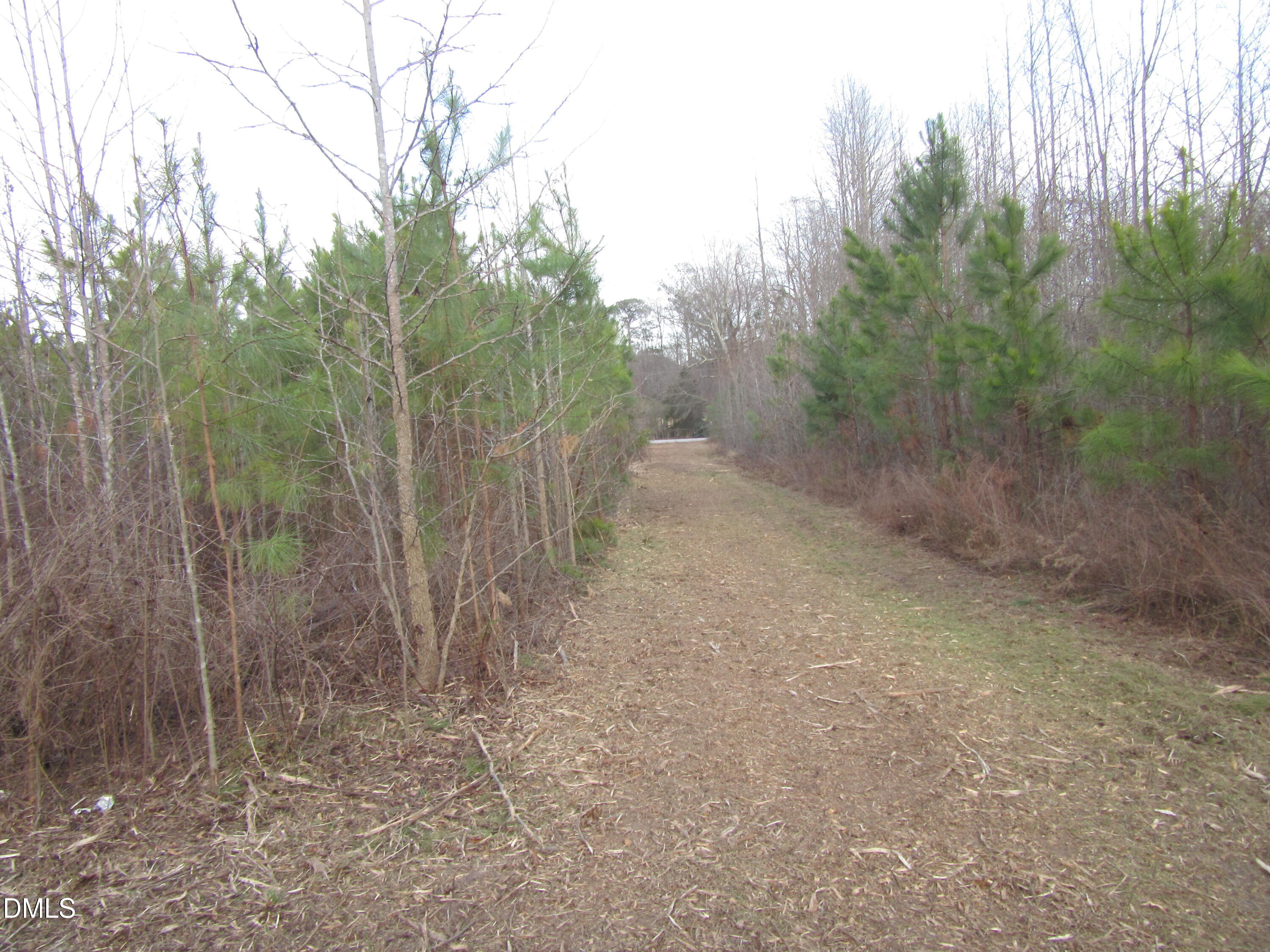 5.86-acres Pearces Road Zebulon, NC 27597 - Photo 2 of 9 IMG_1667