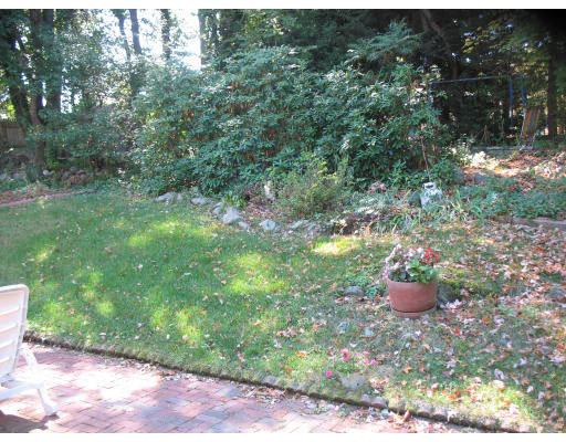 48 Nickerson Road Newton, MA 02467 - Photo 13 of 15 a view of a backyard with chair potted plants