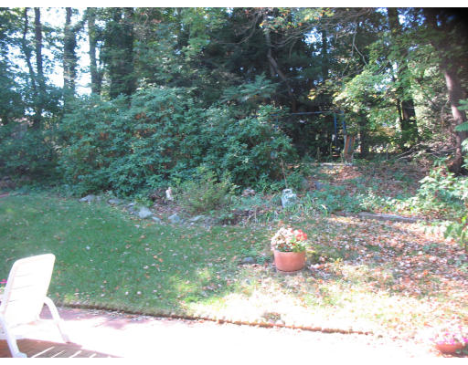 48 Nickerson Road Newton, MA 02467 - Photo 15 of 15 a house view with a outdoor space