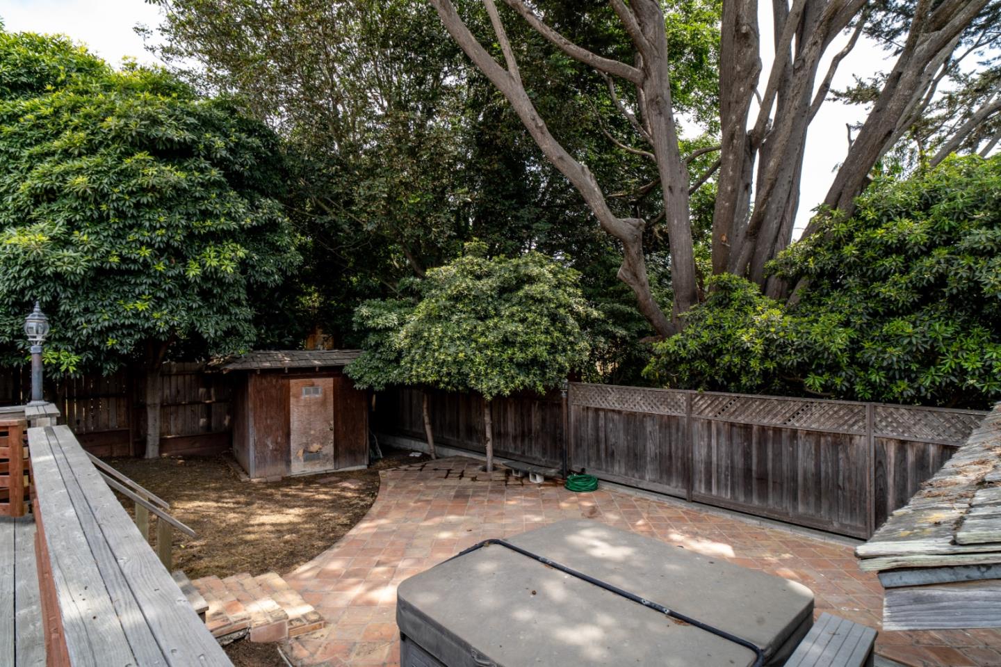 351 Lorimer Street Salinas, CA 93901 - Photo 32 of 37 a view of backyard with wooden fence and trees