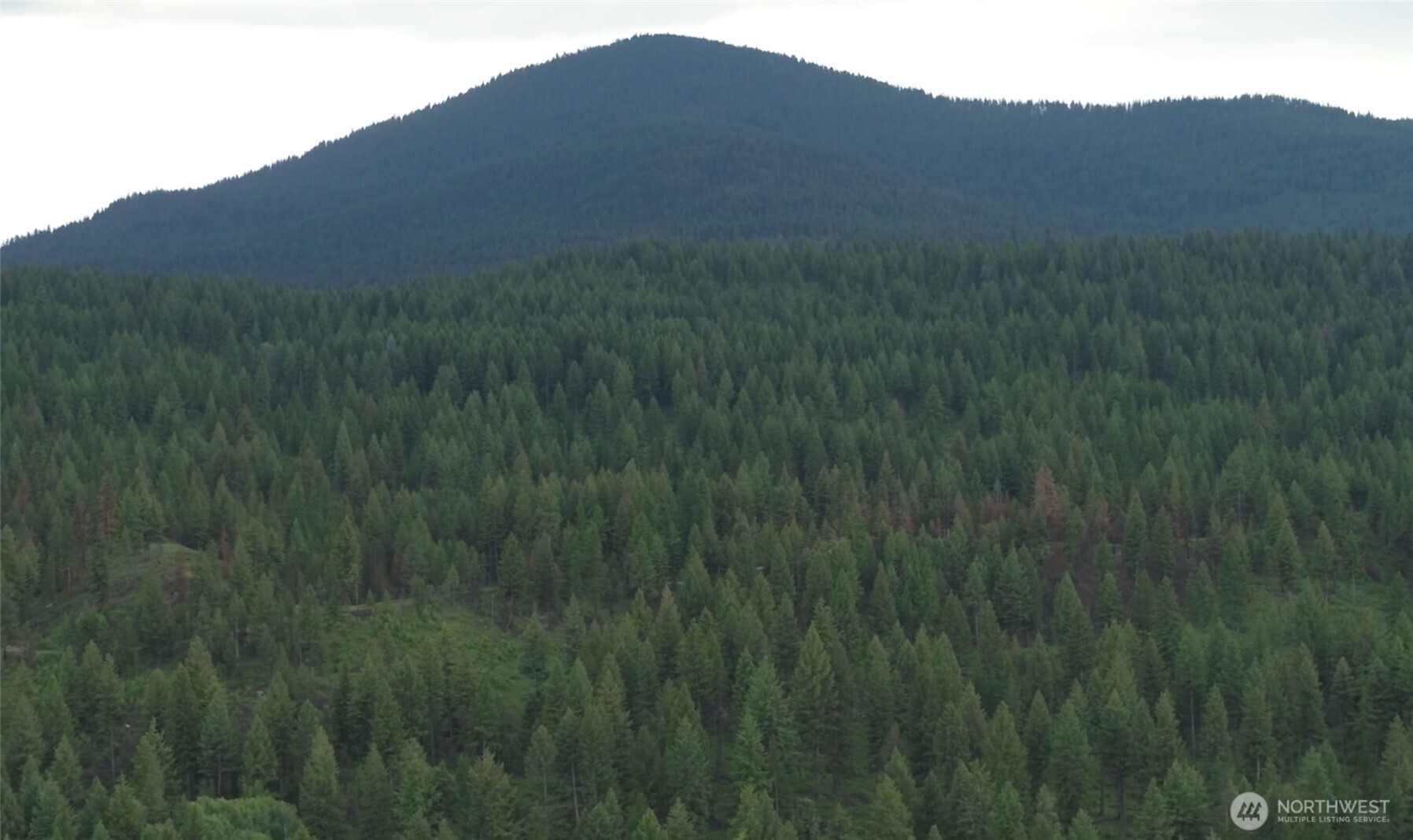 0 Mount Annie Road Tonasket, WA 98855 - Photo 3 of 3 a view of a mountain