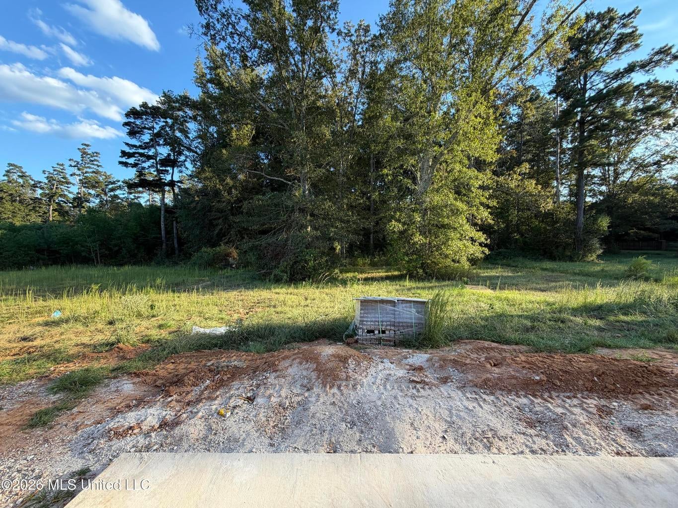 105 Northwest Emily Magee, MS 39111 - Photo 23 of 23 Gallery Image 23