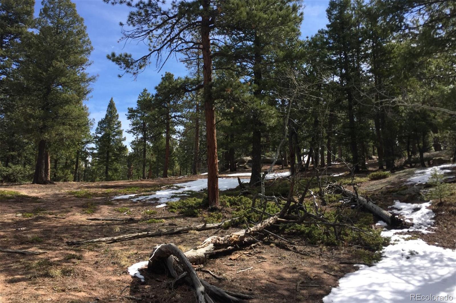 11505 Conifer Ridge Drive Conifer, CO 80433 - Photo 2 of 12