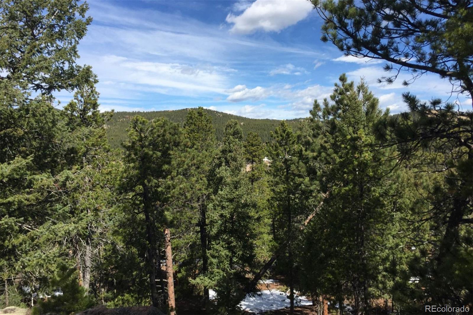 11505 Conifer Ridge Drive Conifer, CO 80433 - Photo 3 of 12