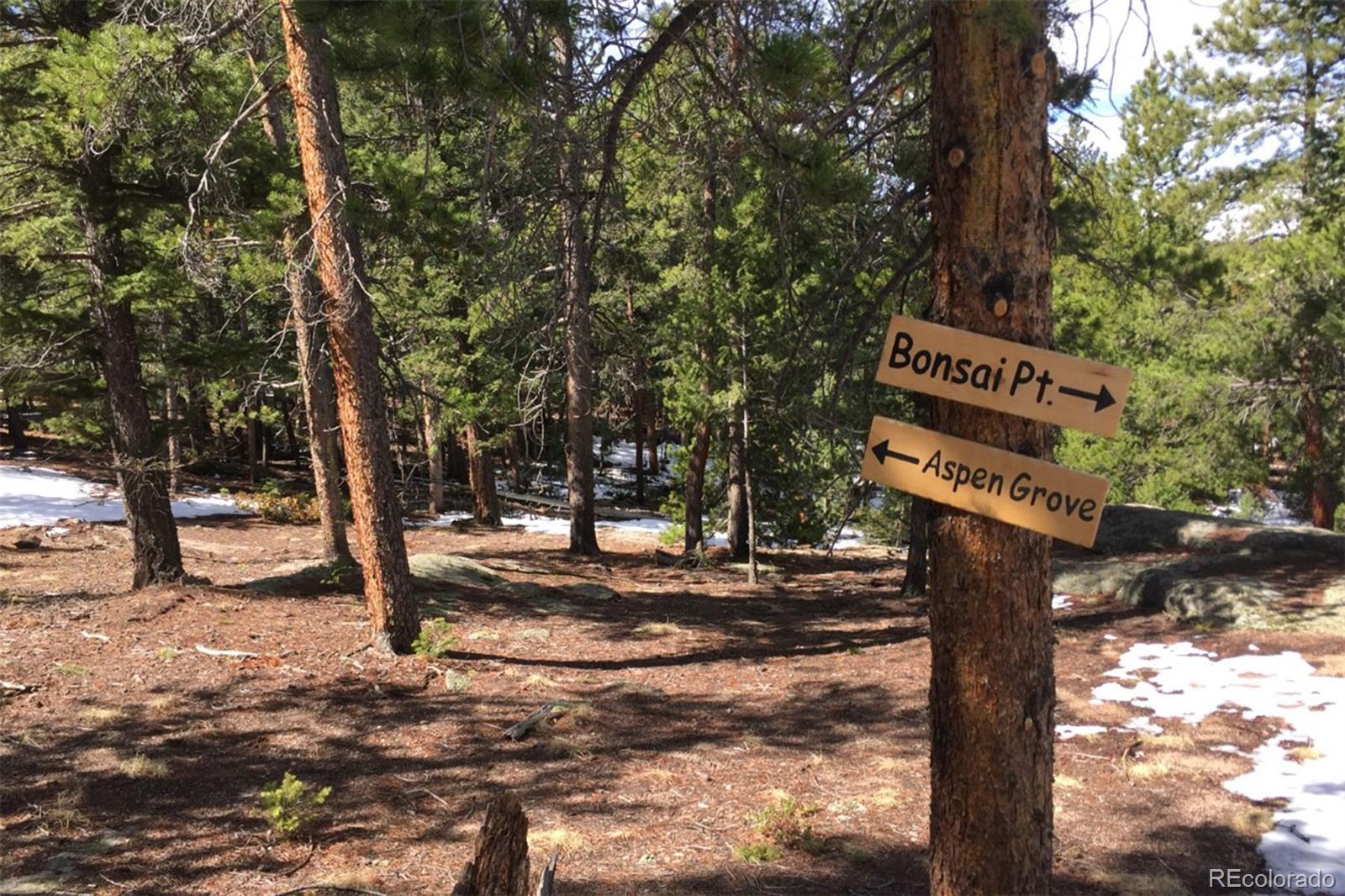 11505 Conifer Ridge Drive Conifer, CO 80433 - Photo 5 of 12