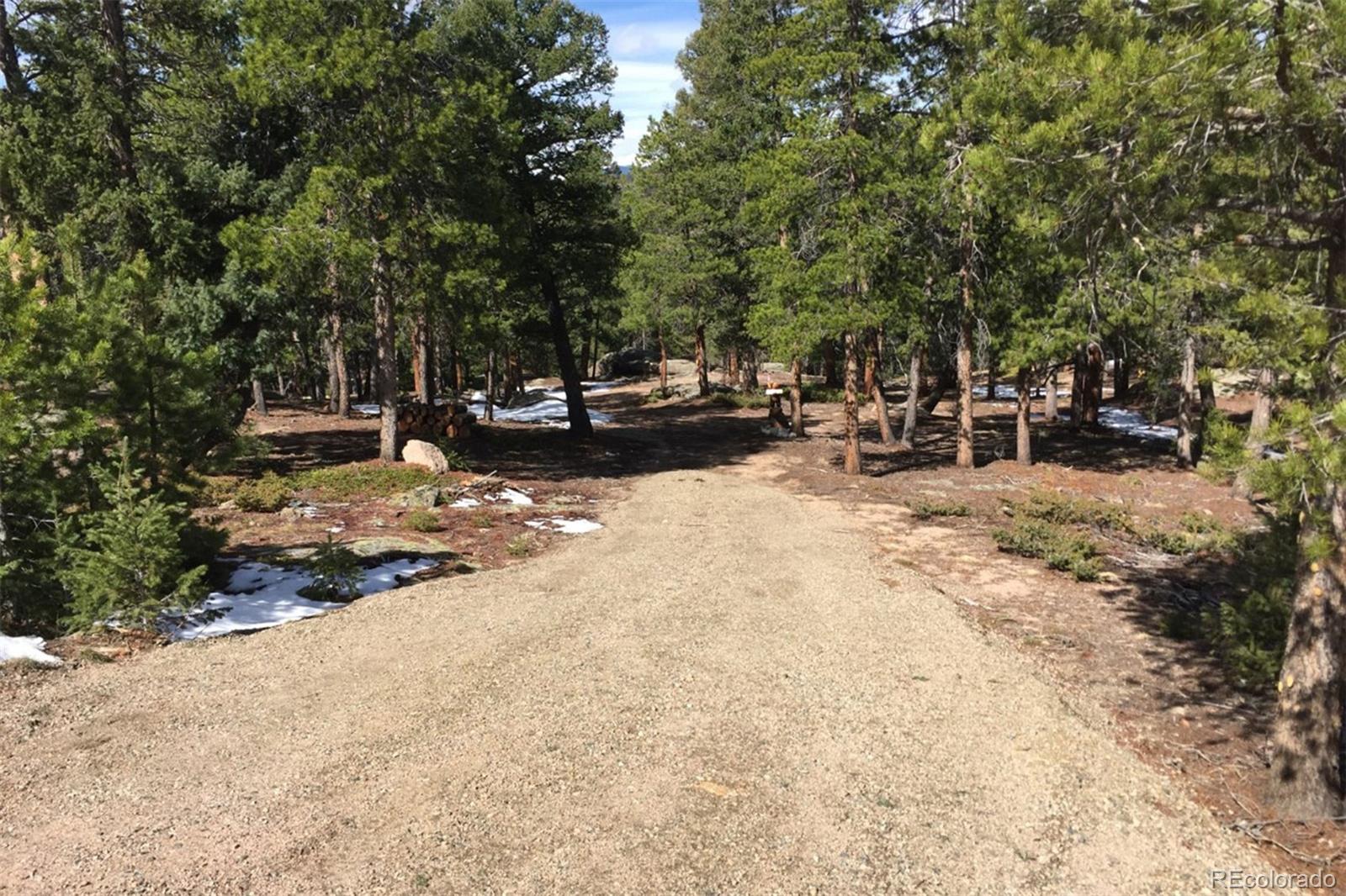 11505 Conifer Ridge Drive Conifer, CO 80433 - Photo 6 of 12