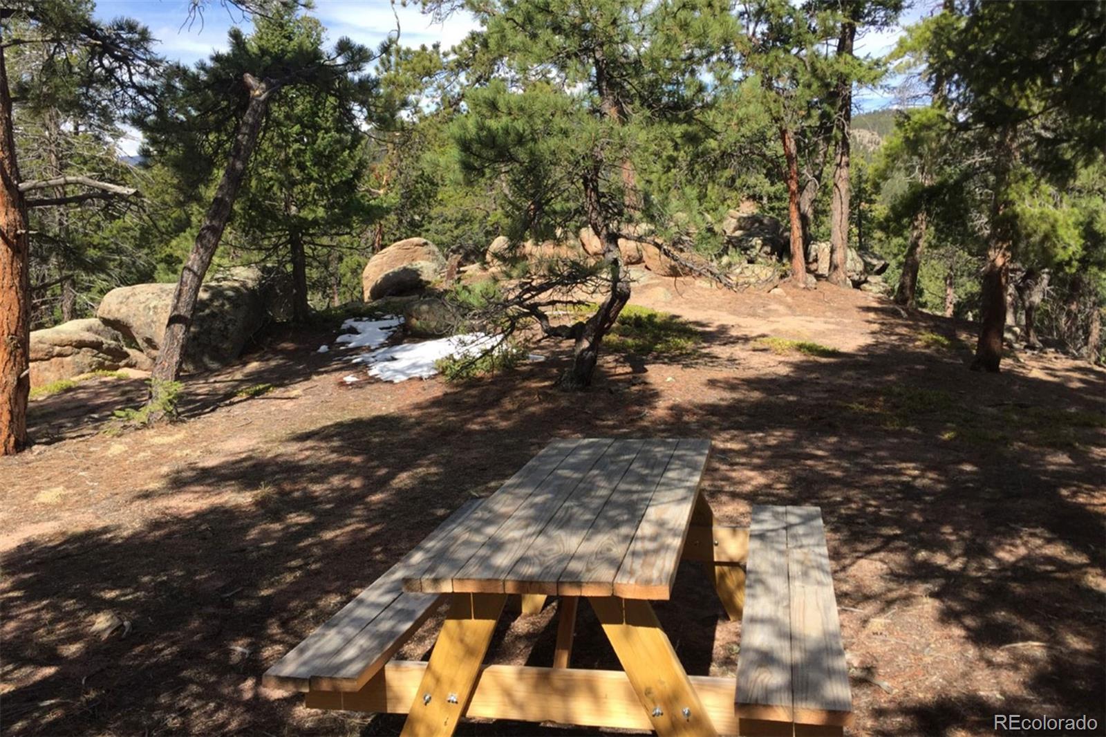 11505 Conifer Ridge Drive Conifer, CO 80433 - Photo 8 of 12