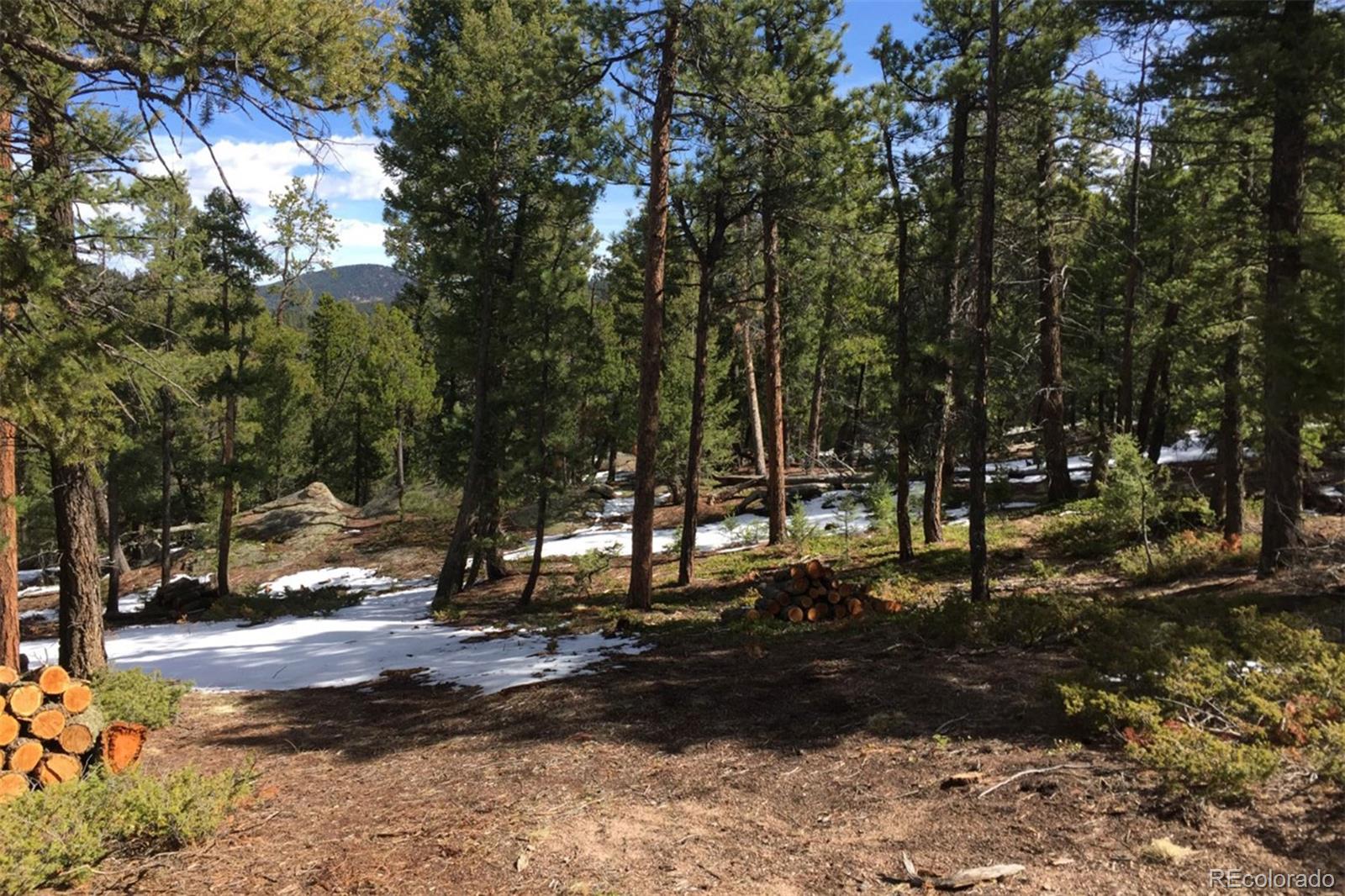 11505 Conifer Ridge Drive Conifer, CO 80433 - Photo 10 of 12