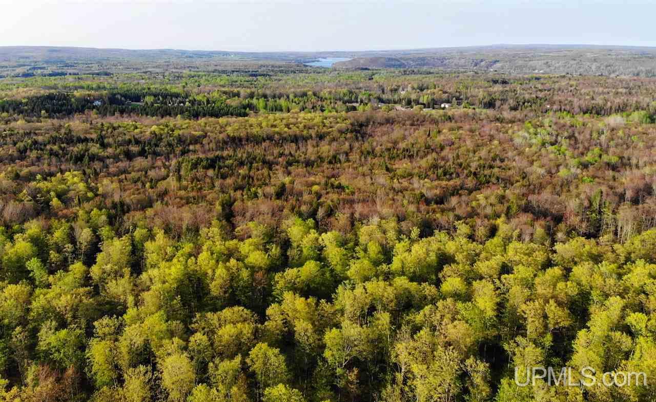 Tbd Off Coles Creek Road, Unit PARCEL 12 Hancock, MI 49931 - Photo 3 of 15