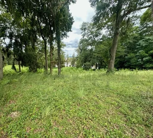 a big yard with lots of green space and deers