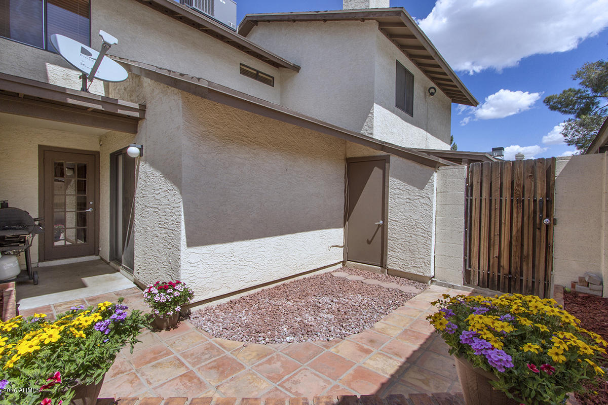 Patio_9644
