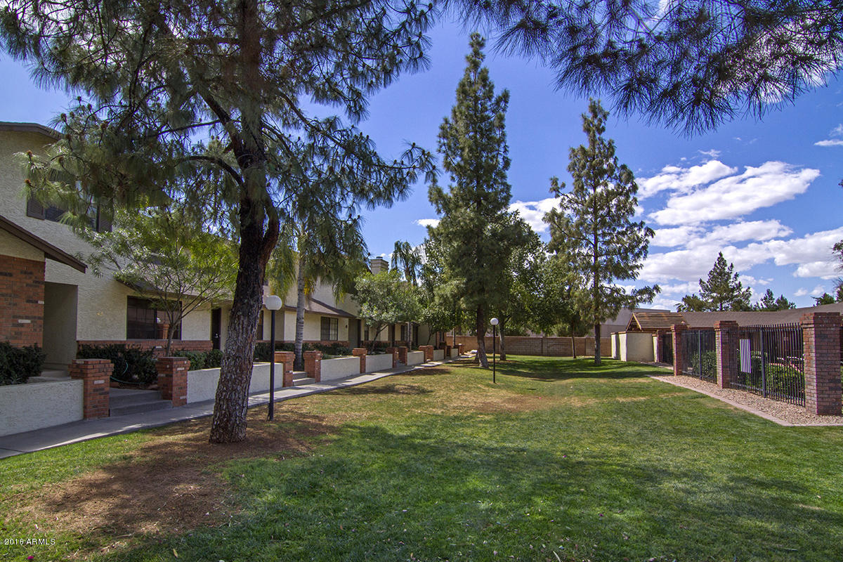 Courtyard_0184
