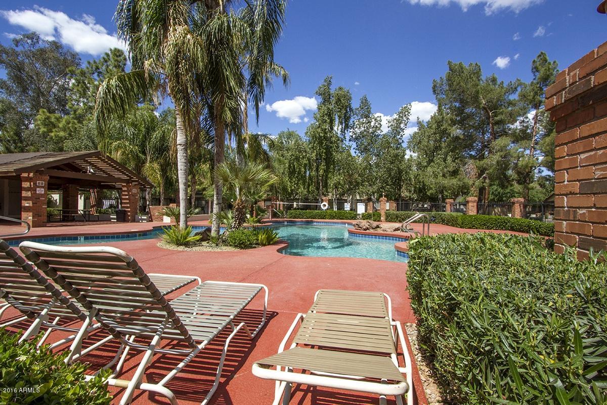 170 East Guadalupe Road, Unit 44 Gilbert, AZ 85234 - Photo 9 of 34 CommunityPool_9721