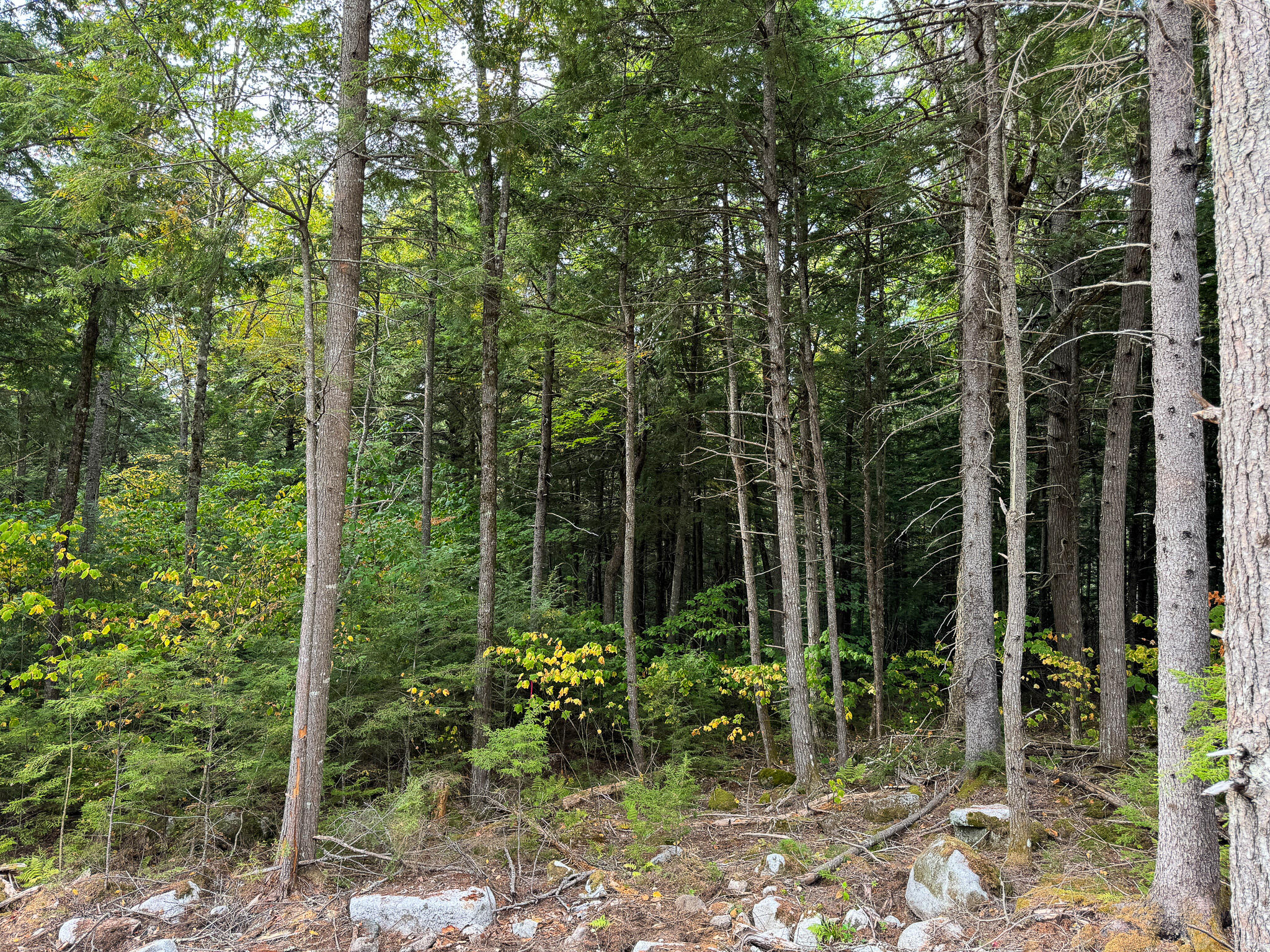 P/o M6-l2 P/o M6-l2 Fern Ridge Road Enfield, ME 04493 - Photo 13 of 16 9
